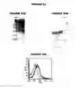 Fig. 22 - Nucleic acids and proteins from groups A & B