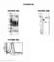 Fig. 25 - Nucleic acids and proteins from groups A & B