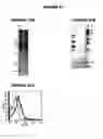 Fig. 27 - Nucleic acids and proteins from groups A & B