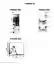 Fig. 28 - Nucleic acids and proteins from groups A & B