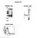 Fig. 37 - Nucleic acids and proteins from groups A & B
