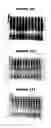 Fig. 46 - Nucleic acids and proteins from groups A & B