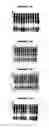 Fig. 47 - Nucleic acids and proteins from groups A & B