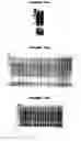 Fig. 50 - Nucleic acids and proteins from groups A & B