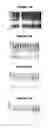 Fig. 53 - Nucleic acids and proteins from groups A & B