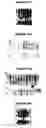 Fig. 59 - Nucleic acids and proteins from groups A & B