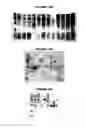 Fig. 62 - Nucleic acids and proteins from groups A & B