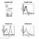 Fig. 86 - Nucleic acids and proteins from groups A & B