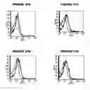 Fig. 96 - Nucleic acids and proteins from groups A & B