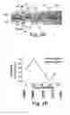 Fig. 05 - MICROFLUIDIC MANIPULATION OF FLUIDS AND REACTIONS