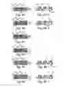 Fig. 06 - MICROFLUIDIC MANIPULATION OF FLUIDS AND REACTIONS