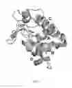Fig. 05 - Method Of Complexing A Protein By The Use Of A Dispersed System And Proteins Thereof