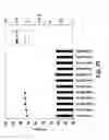 Fig. 23 - Integrated approach for generating multidomain protein therapeutics