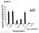 Fig. 20 - Bispecific antibodies and methods for production thereof
