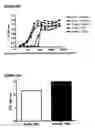 Fig. 22 - Bispecific antibodies and methods for production thereof