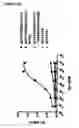 Fig. 25 - Bispecific antibodies and methods for production thereof