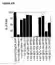 Fig. 26 - Bispecific antibodies and methods for production thereof