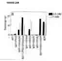 Fig. 30 - Bispecific antibodies and methods for production thereof