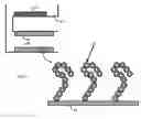 Fig. 04 - PURIFICATION OF CARBON NANOTUBES VIA BIOMOLECULES