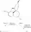 Fig. 04 - Method for the production of high-purity 4a, 5, 9, 10, 11, 12,-hexahydro-6H-benzofuro [3a, 3, 2-ef] [2] benzazepine, and the derivatives thereof