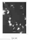 Fig. 10 - Continuous antisolvent crystallization process and system using plug flow reactors