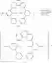 Fig. 48 - Modified metal complex and use thereof