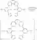 Fig. 55 - Modified metal complex and use thereof