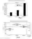 Fig. 02 - Blocking agents for organoborane compounds