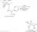 Fig. 05 - Process for the preparation of tiotropium bromide