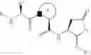 Fig. 19 - CASPASE INHIBITORS AND USES THEREOF
