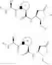 Fig. 20 - CASPASE INHIBITORS AND USES THEREOF