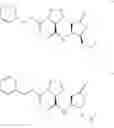 Fig. 234 - CASPASE INHIBITORS AND USES THEREOF