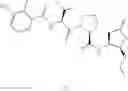 Fig. 26 - CASPASE INHIBITORS AND USES THEREOF
