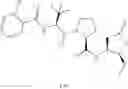 Fig. 41 - CASPASE INHIBITORS AND USES THEREOF