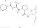Fig. 50 - CASPASE INHIBITORS AND USES THEREOF