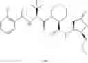 Fig. 80 - CASPASE INHIBITORS AND USES THEREOF