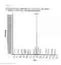 Fig. 04 - Methods for massive culture of and isolation of pectenotoxin-2