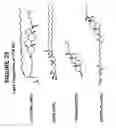 Fig. 29 - LIPID NANOPARTICLE BASED COMPOSITIONS AND METHODS FOR THE DELIVERY OF BIOLOGICALLY ACTIVE MOLECULES