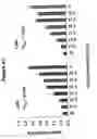 Fig. 45 - LIPID NANOPARTICLE BASED COMPOSITIONS AND METHODS FOR THE DELIVERY OF BIOLOGICALLY ACTIVE MOLECULES