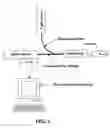 Fig. 03 - Methods for optical identification and characterization of abnormal tissue and cells