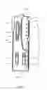Fig. 02 - Compact diagnostic neurological tool