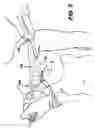 Fig. 04 - Methods for medical device alignment