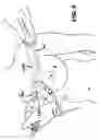 Fig. 05 - Methods for medical device alignment
