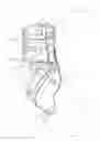 Fig. 02 - Ankle joint orthosis