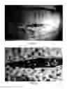 Fig. 07 - WOUND COMPRESS AND METHODS