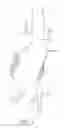 Fig. 07 - System and methods for endovascular aneurysm treatment