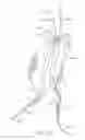 Fig. 15 - System and methods for endovascular aneurysm treatment