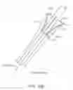 Fig. 33 - System and methods for endovascular aneurysm treatment