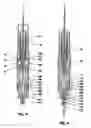 Fig. 03 - Disposable injector with manually actuated piston