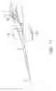 Fig. 14 - Indwelling needle assembly